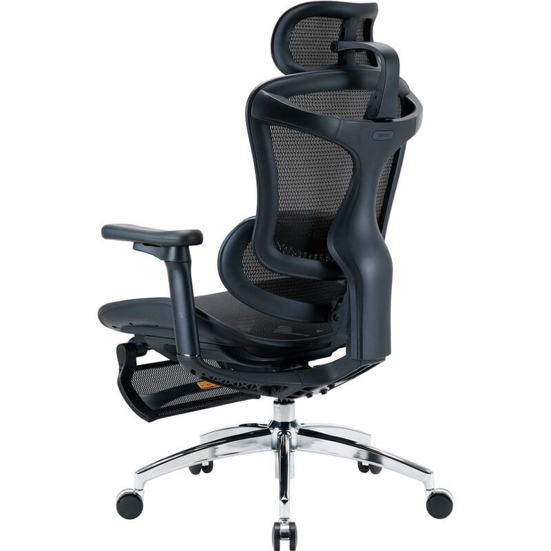 Крісло офісне Sihoo Doro C300L Mesh Black with footrest (Doro-C300L-A3-101-JT)