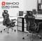 Фото - Крісло офісне Sihoo Doro C300L Mesh Black with footrest (Doro-C300L-A3-101-JT) | click.ua