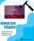 Фото - Захисне скло BeCover для Lenovo Yoga Tab 11 2025 (11.1") TB-710FU (714895) | click.ua