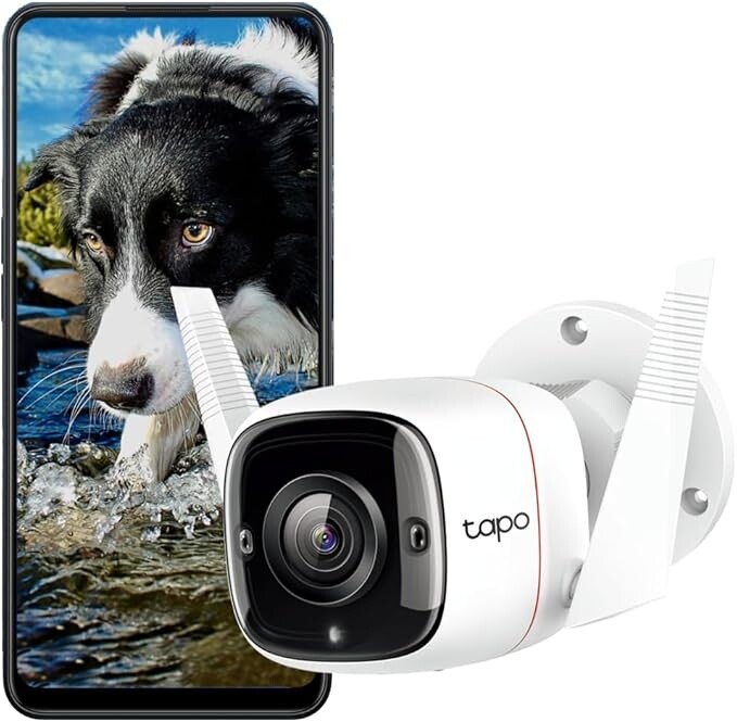 IP-камера TP-Link Tapo C310