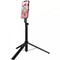 Фото - Трипод Proove Magnet Stick Pro 1540 мм Black (MPSP00002001) | click.ua