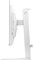 Фото - Монитор Philips 26.5" 27M2N6501L QD-OLED White 240Hz | click.ua