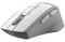 Фото - Миша бездротова A4Tech FG30 Grey/White | click.ua