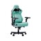 Фото - Крісло для геймерів Anda Seat Kaiser 4 V2 Size XL PVC Green (AD12YDDC-XLL-20-E-PV/C-03) | click.ua