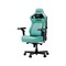 Фото - Крісло для геймерів Anda Seat Kaiser 4 V2 Size XL PVC Green (AD12YDDC-XLL-20-E-PV/C-03) | click.ua