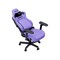 Фото - Крісло для геймерів Anda Seat Kaiser 4 V2 Size XL PVC Purple (AD12YDDC-XLL-20-V-PV/C-03) | click.ua