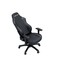 Фото - Кресло для геймеров Anda Seat Luna Size L  Black (AD18-44-B-PV) | click.ua