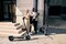 Фото - Електросамокат Segway Ninebot F3 PRO E (AA.05.17.02.0003) | click.ua
