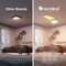 Фото - Світильник стельовий Nanoleaf Skylight Expansion Pack, 1 шт., Apple HomeKit (NF083E00-1SL) | click.ua