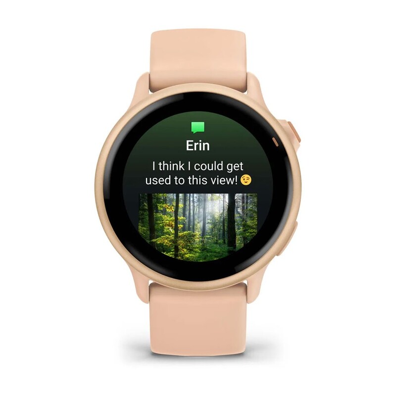 Смарт-годинник Garmin Vivoactive 6 Pink Dawn/P. Dawn Metallic (010-02985-03)