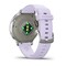 Фото - Смарт-часы Garmin Venu 4 41mm Silver Bezel with Periwinkle Silicone Band (010-03013-01) | click.ua