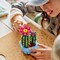 Фото - Конструктор LEGO Botanicals Цветение кактуса (11509) | click.ua