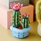 Фото - Конструктор LEGO Botanicals Цветение кактуса (11509) | click.ua