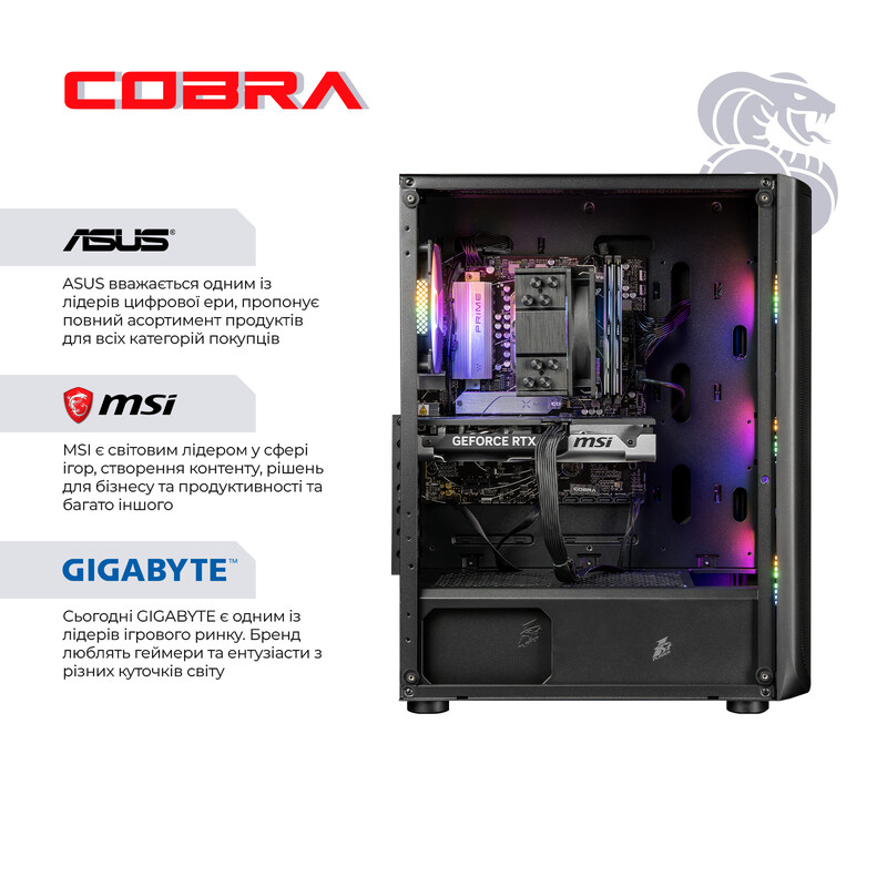 Персональний комп'ютер COBRA Advanced (I225F.64.S5.56T.24641)
