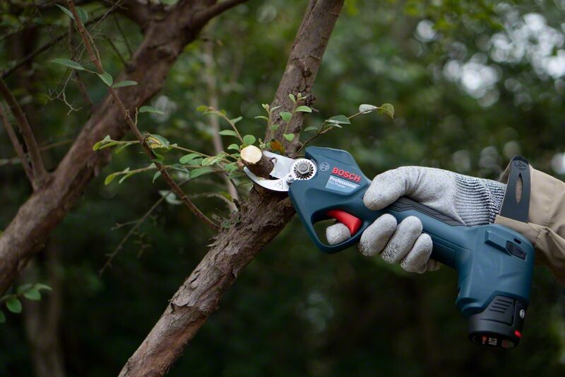 Секатор акумуляторный Bosch Professional Pruner 12В, 2х3Агод (0.601.9K1.021)