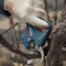 Фото - Секатор акумуляторный Bosch Professional Pruner 12В, 2х3Агод (0.601.9K1.021) | click.ua