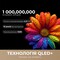 Фото - Телевізор Dreame Vivid QLED 4K TV 75Q100 | click.ua