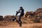 Фото - Електросамокат Kaabo Wolf Warrior 11 Plus | click.ua