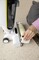 Фото - Акумуляторний миючий пилосос Karcher FCV 4 Dry Extra (1.056-136.0) | click.ua