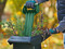 Фото - Подрiбнювач Bosch AXT 25 D (0.600.803.103) | click.ua