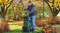 Фото - Измельчитель Bosch AXT 25 TC (0.600.803.30C) | click.ua