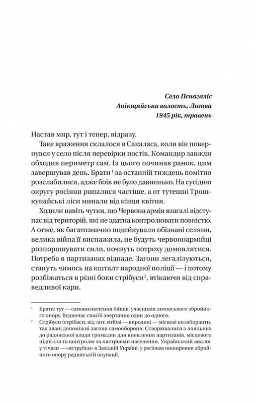 Підпільна держава / Андрій Кокотюха