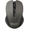 Фото - Мышь беспроводная Canyon CNE-CMSW1G Grey | click.ua