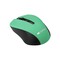 Фото - Миша бездротова Canyon CNE-CMSW1GR Green | click.ua