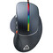 Фото - Мышь Canyon Apstar CND-SGM12RGB Black | click.ua