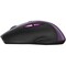 Фото - Мышь беспроводная Canyon CNS-CMSW01P Purple | click.ua