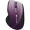 Фото - Мышь беспроводная Canyon CNS-CMSW01P Purple | click.ua