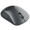 Фото - Миша бездротова Canyon CNE-CMSW11B Black | click.ua