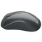 Фото - Миша бездротова Canyon CNE-CMSW11B Black | click.ua