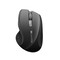 Фото - Миша бездротова Canyon CNS-CMSW01B Black | click.ua