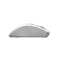 Фото - Миша бездротова A4Tech Fstyler FG55S Plus White | click.ua