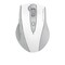 Фото - Миша бездротова A4Tech Fstyler FG55S Plus White | click.ua