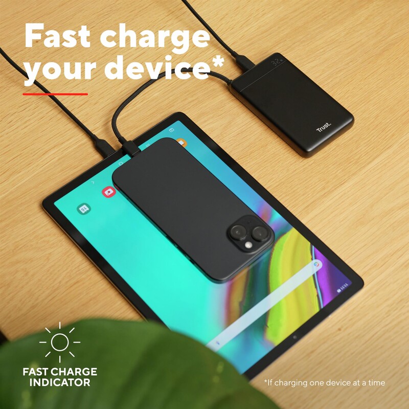 Универсальная мобильная батарея Trust Fiera 10000mAh 20W Black (25880)
