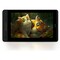 Фото - Графический монитор Huion Kamvas Pro 13 (GT-133) | click.ua