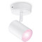 Фото - Светильник точечный накладной умный WiZ Imageo Spots 5W 2200-6500K RGB Wi-Fi White (929002658701) | click.ua