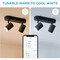 Фото - Светильник точечный накладной умный WiZ Imageo Spots 2х5W 2200-6500K RGB Wi-Fi Black (929002659101) | click.ua