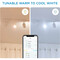 Фото - Светильник точечный накладной умный WiZ Imageo Spots 3х5W 2200-6500K RGB Wi-Fi White (929002658901) | click.ua