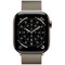 Фото - Смарт-часы Apple Watch Series 11 GPS 46mm Natural Titanium Case with Natural Milanese Loop - M/L (MFD04RK/A | click.ua