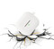 Фото - Чохол BeCover Silicon для Samsung Galaxy Buds 3 FE White (715115) | click.ua