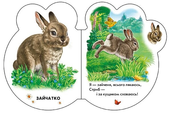 Малята. У лісі / Ірина Сонечко