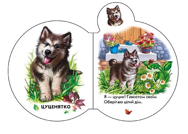 Малята. У селі / Ірина Сонечко