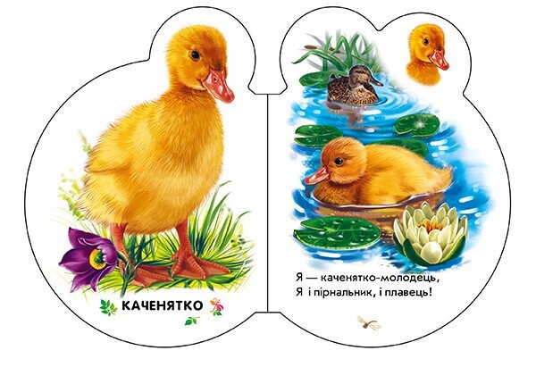 Малята. У селі / Ірина Сонечко