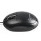 Фото - Миша Gembird MUS-U-01 Black | click.ua