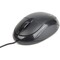 Фото - Миша Gembird MUS-U-01 Black | click.ua