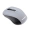 Фото - Мышь беспроводная Maxxter Mr-337-Gr Grey USB | click.ua
