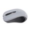 Фото - Мышь беспроводная Maxxter Mr-337-Gr Grey USB | click.ua